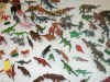 stdrezDSCN5617_1494.JPG (63457 octets)
